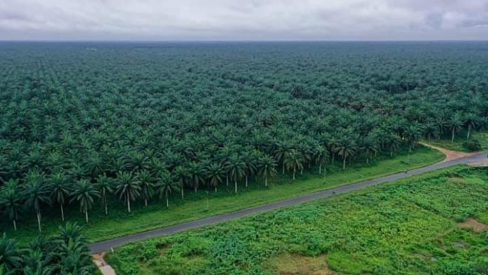 FB_IMG_1631093637732